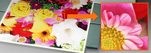 柯尼卡美能達C221s原裝碳粉輸出效果