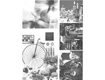 柯尼卡美能達(dá)復(fù)印機(jī)bizhub306的600dpi分辨率的輸出質(zhì)量