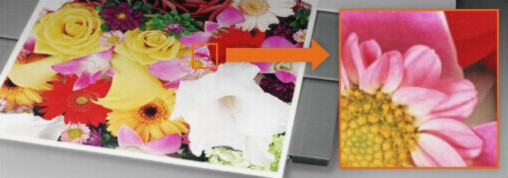 柯尼卡美能達C7528品牌環保顯影單元效果圖片--廣東震旦